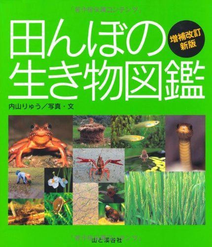 田んぼの生き物図鑑 増補改訂新版 (ヤマケイ情報箱)