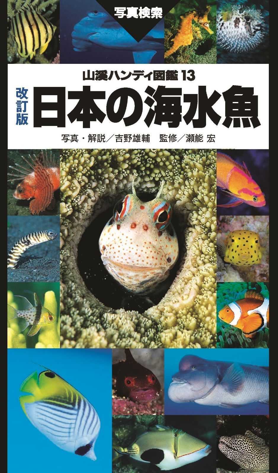 山溪ハンディ図鑑 改訂版 日本の海水魚