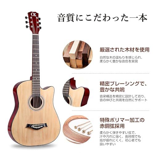アコースティックギター 初心者12点セット 38インチ アコギ ギター