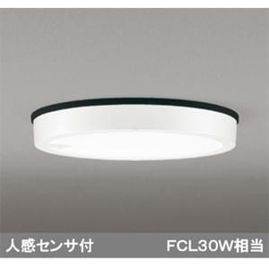 【新品・5営業日で発送】ODELIC オーデリック LEDシーリング OG254813R