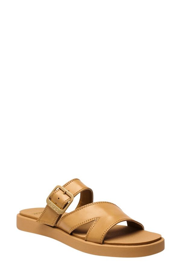 サヌーク レディース シューズ サンダル Sanuk Cove TwoStrap Sandal Doe