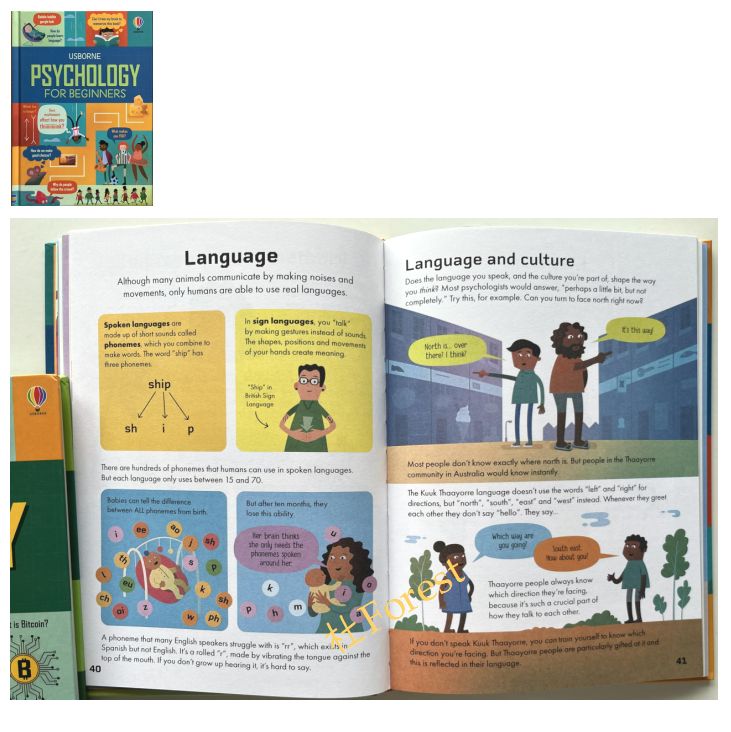 本 新品 For Beginners 絵本11冊 ハードカバー Usborne