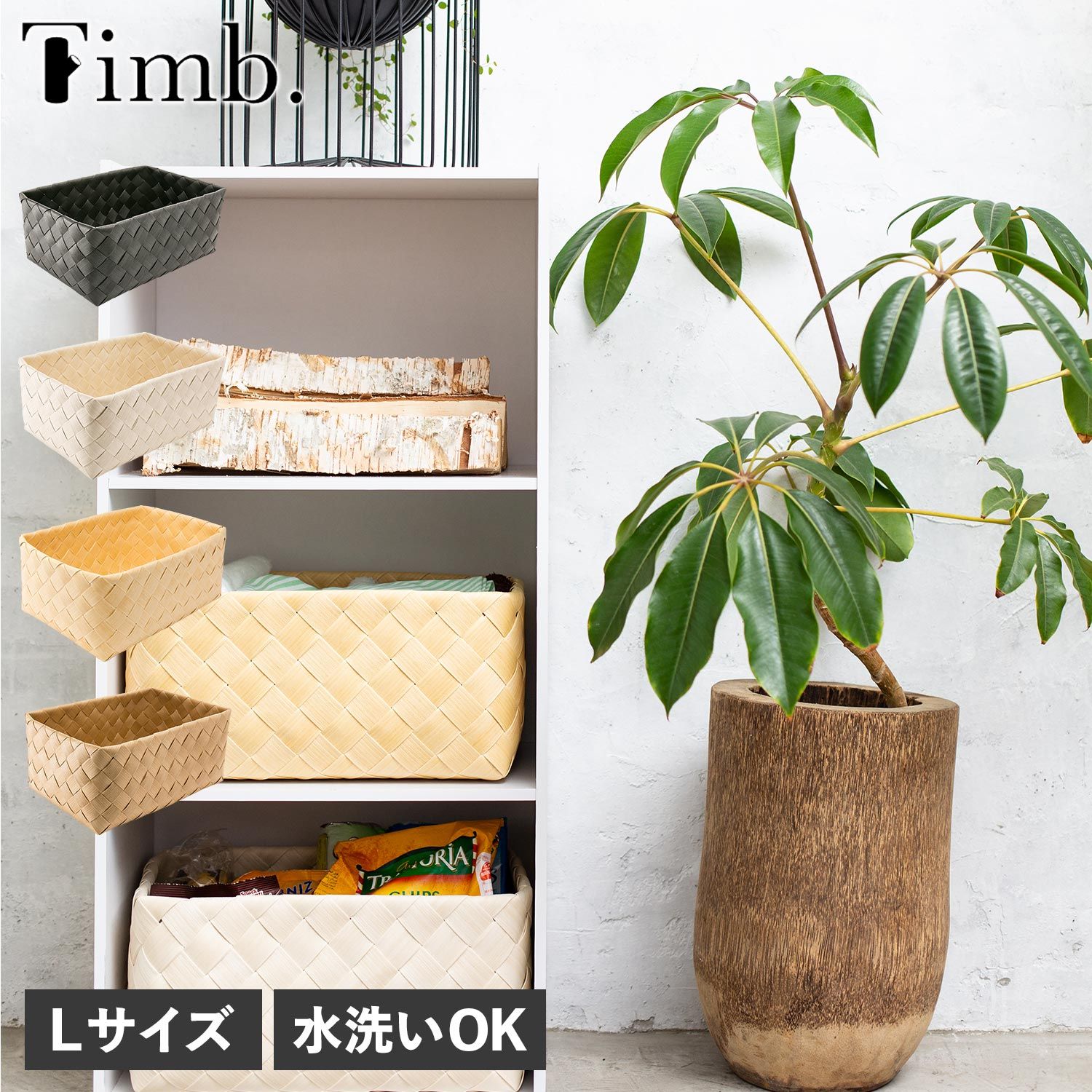 31種 ポケカ 古代能力 まとめ売りセット xy フルアート レア-純正通販売