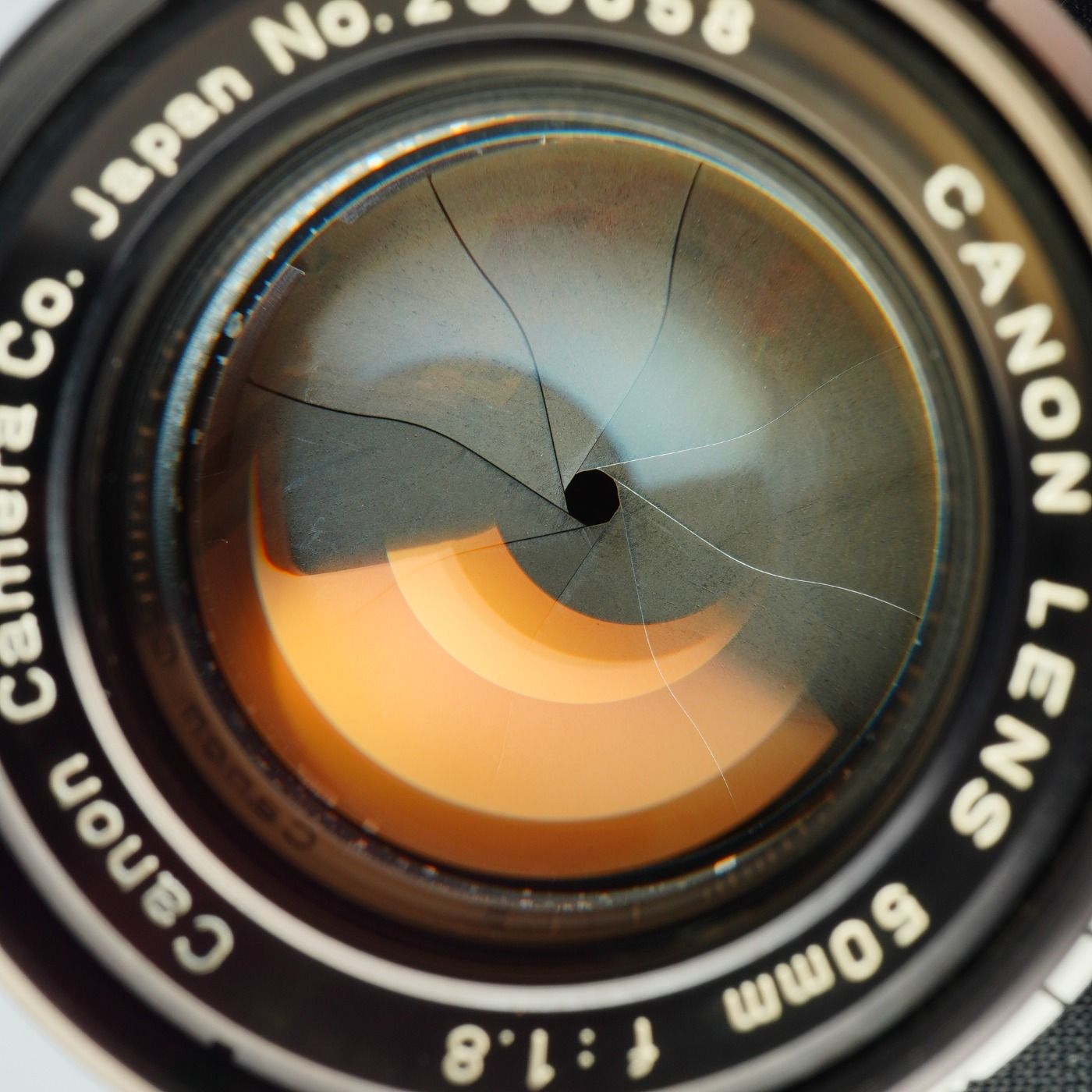 Serviced】 Canon キヤノン 50mm F/1.8 For L39 単焦点レンズ - メルカリ
