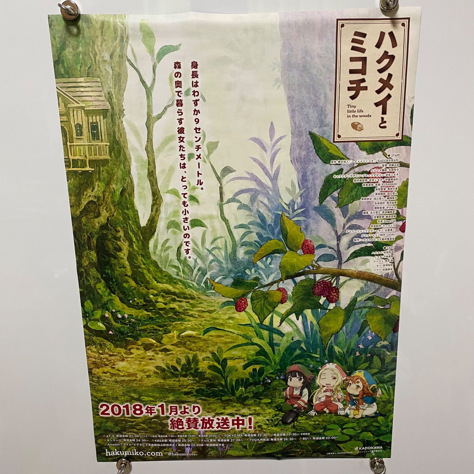 最終値下げ！【非売品】ハクメイとミコチ　B2サイズポスター　額縁付き ハクメイとミコチ 両面B2ポスター 樫木祐人 #1537 - メルカリ