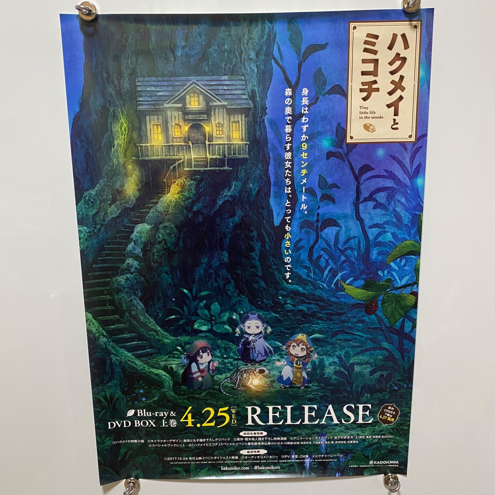 最終値下げ！【非売品】ハクメイとミコチ　B2サイズポスター　額縁付き ハクメイとミコチ 両面B2ポスター 樫木祐人 #1537 - メルカリ