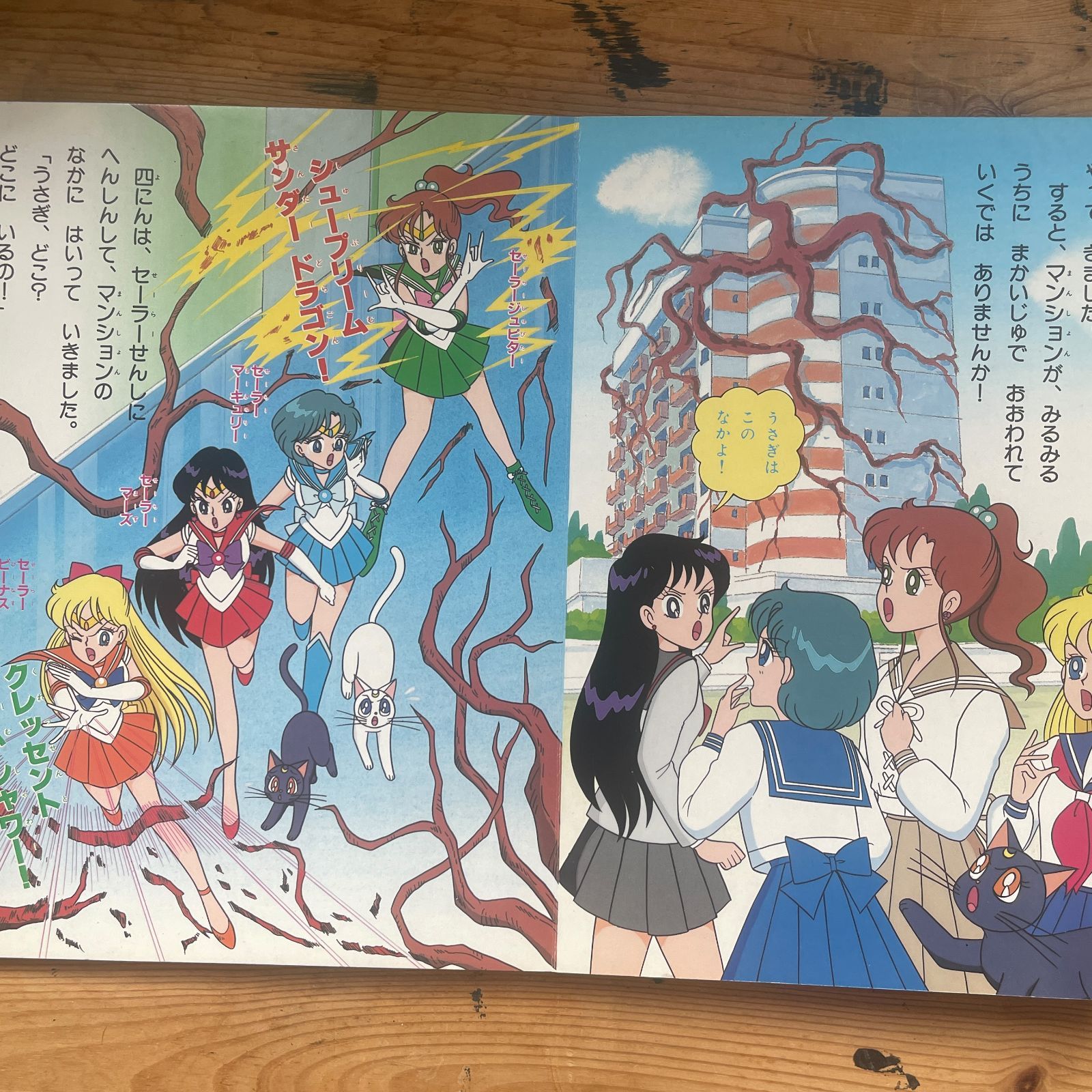 講談社テレビ絵本 美少女戦士セーラームーンR 13 いかりの まかいじゅ