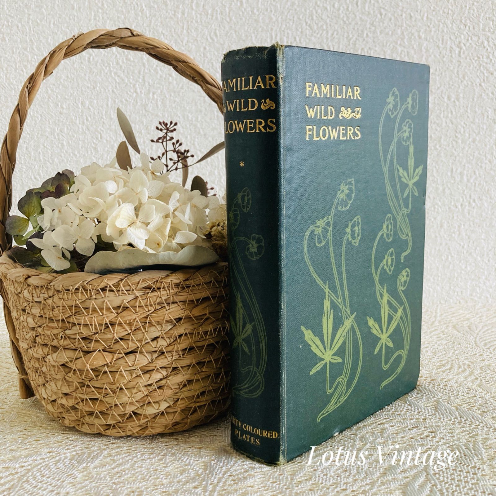 Familiar Wild Flowers 第1巻・第2巻（合本版）　イギリスのアンティーク植物図鑑　インテリア洋書・古書