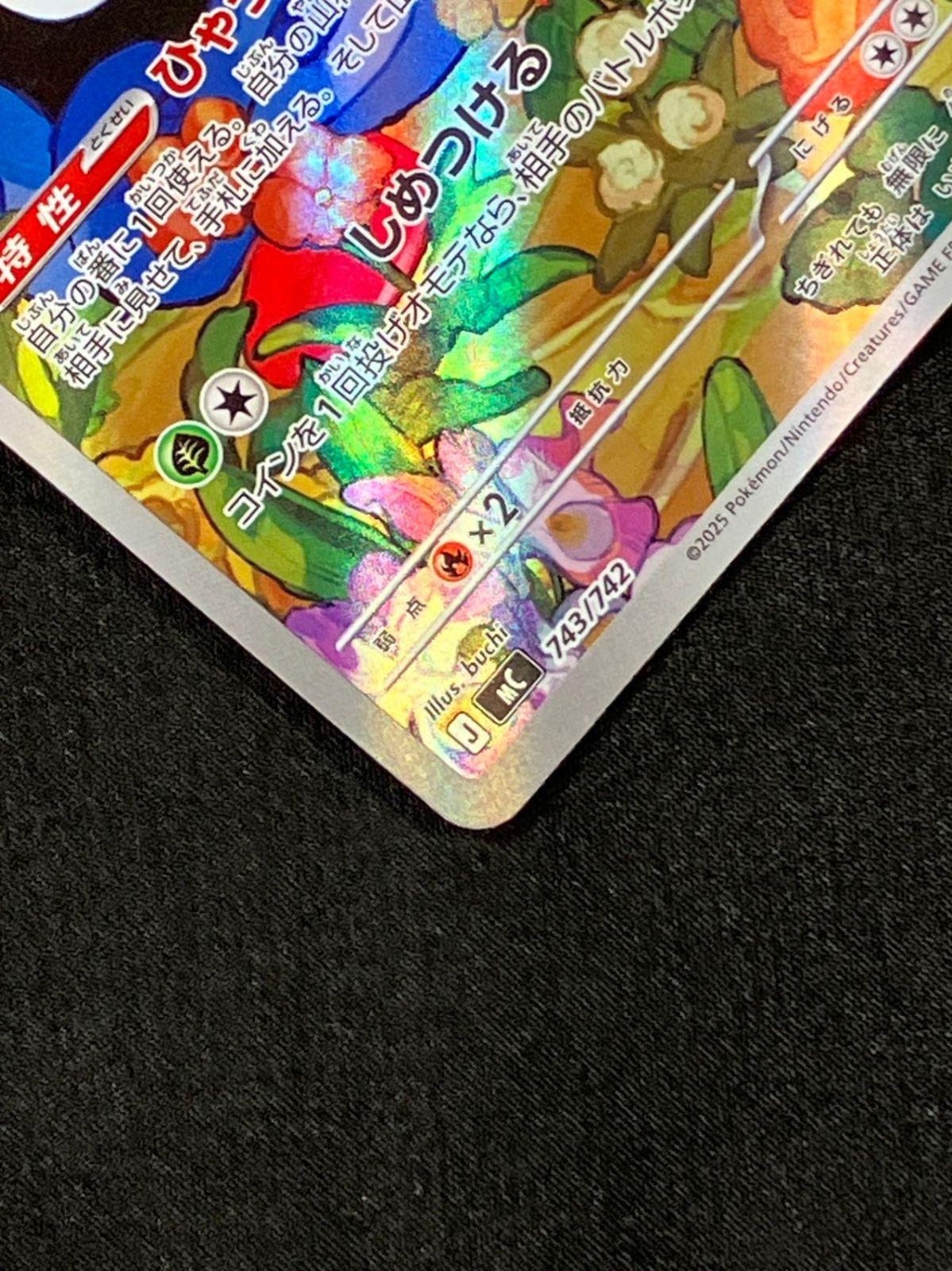 エリカのモンジャラ - MC-743_266 - メルカリ