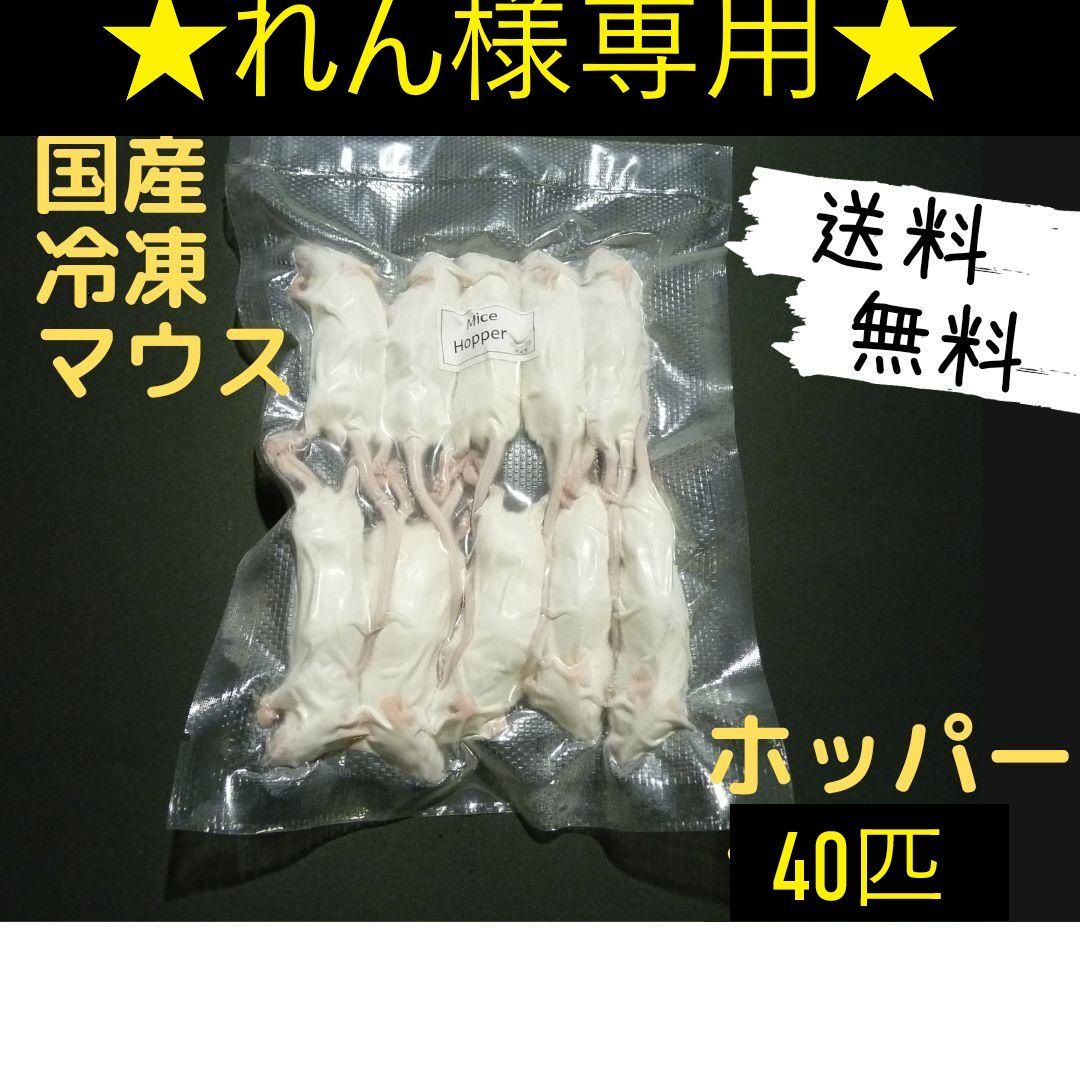 ☆れん様専用☆国産冷凍マウスホッパー40匹 - メルカリ