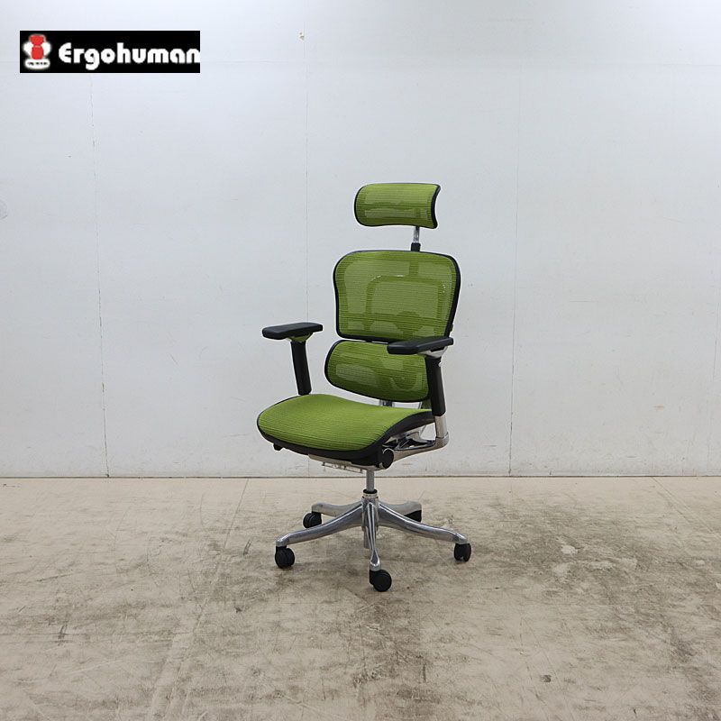 エルゴヒューマン□ErgohumanFit オフィスチェア クッション グリーン 