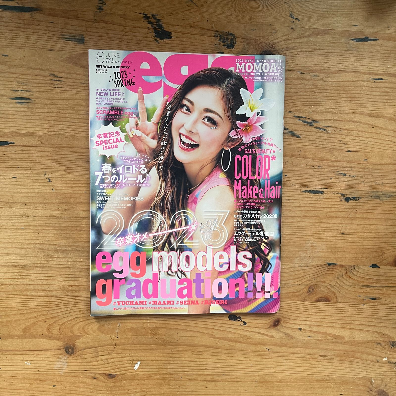 egg power mook 08 2023SPRING 大洋図書 - メルカリ