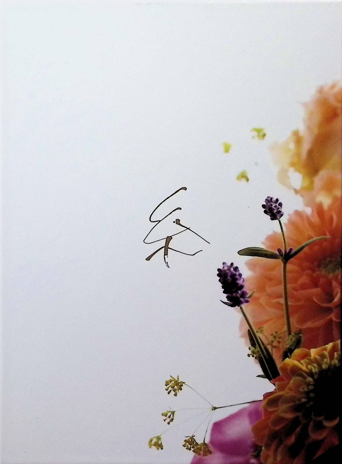 糸 DVD 豪華版 （DVD2枚組） - メルカリ