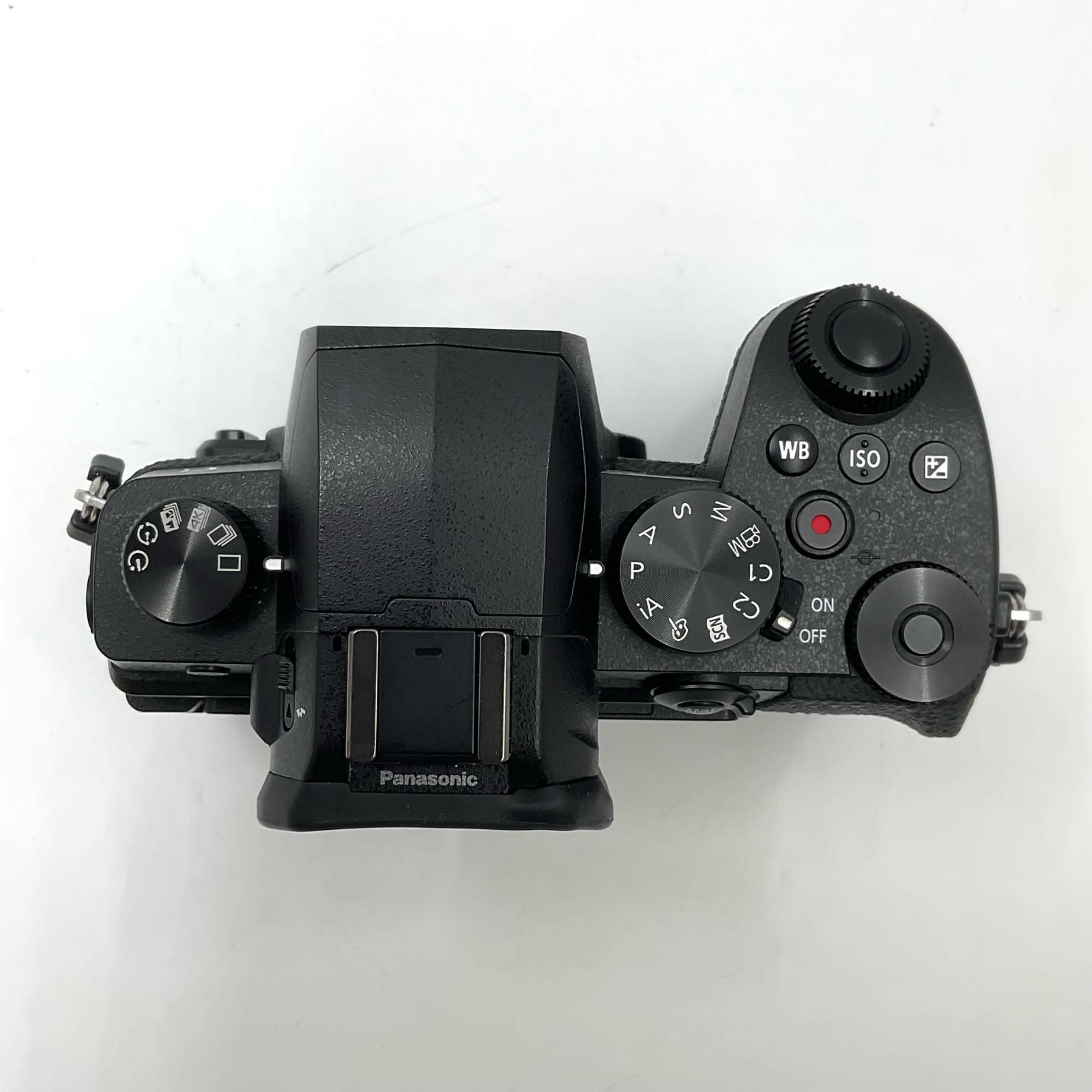 全額返金保証】【最速発送】Panasonic デジタル一眼 LUMIX DC-G99