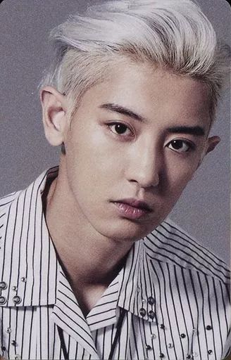 中古】コレクションカード(男性)/ EXO/チャニョル(CHANYEOL)/CD「BIRD