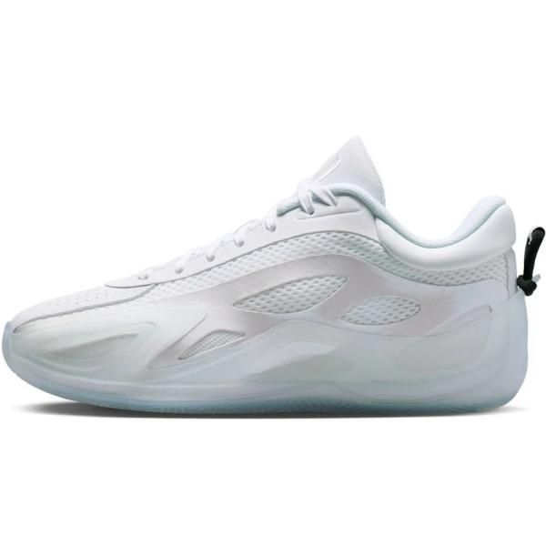 NIKE ナイキ レディース シューズ WMNS JORDAN HEIR SERIES 2 PF ウィメンズ ジョーダン エアー シリーズ 2 PF HV4419-102
