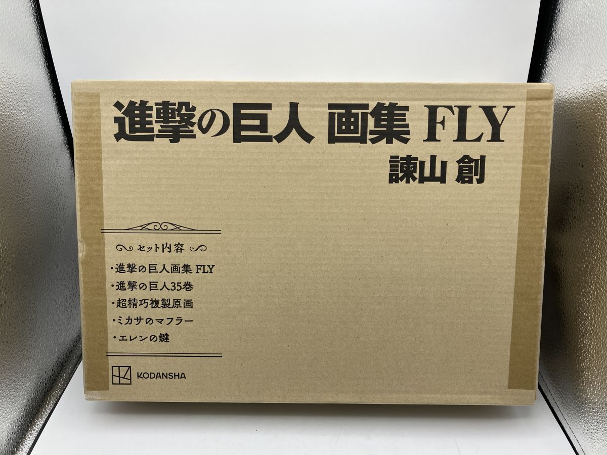 未開封品】進撃の巨人 画集 FLY 諫山創/n1730 - メルカリ