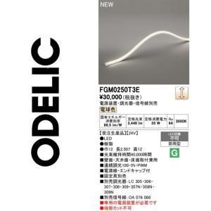 【新品・5営業日で発送】ODELIC オーデリック LED間接照明 FGM0250T3E