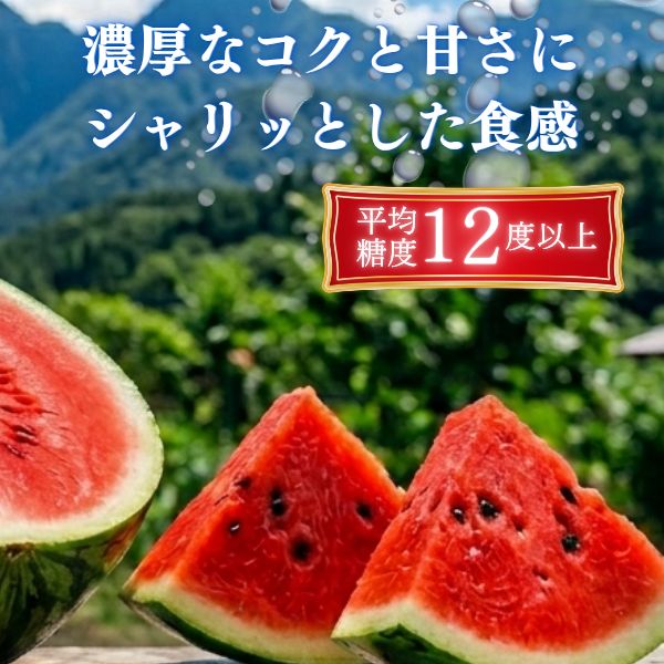 熊本産 羅皇ザ・スウィート 約10kg 大玉スイカ - メルカリ
