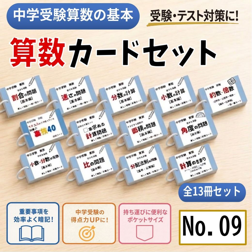 中学受験 国語・算数・理科・社会 暗記カードセット 中学入試対策 予習【100】 中学受験 国語・算数・理科・社会 暗記カードセット 中学入試対策 中学