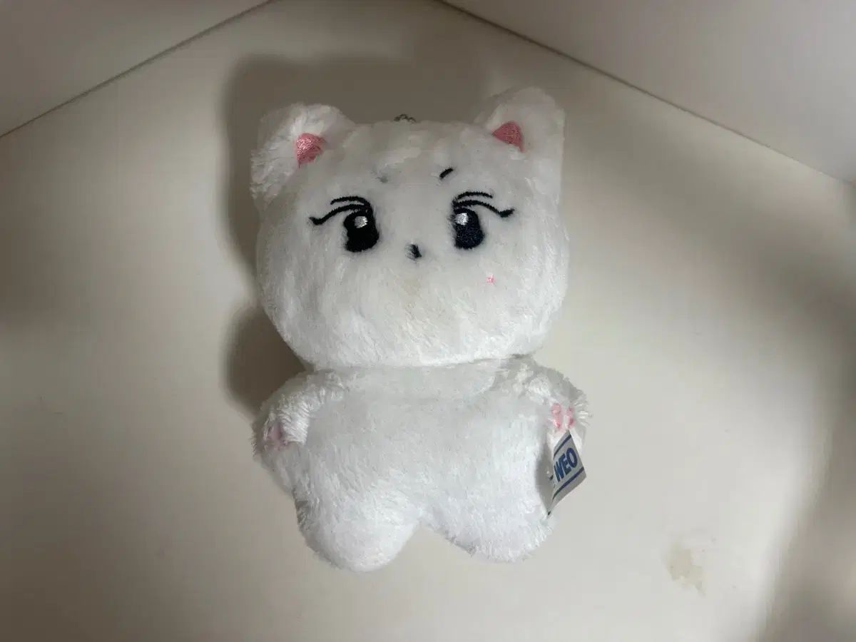 ジョンウォン ぬいぐるみ ジョンウォン(JUNGWON・ヤンジョンウォン