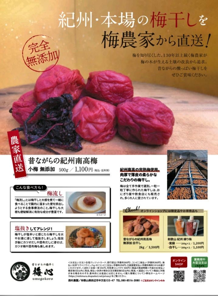 和歌山 紀州 訳あり南高梅 無添加 無着色 今月号の雑誌 ESSEに紹介され