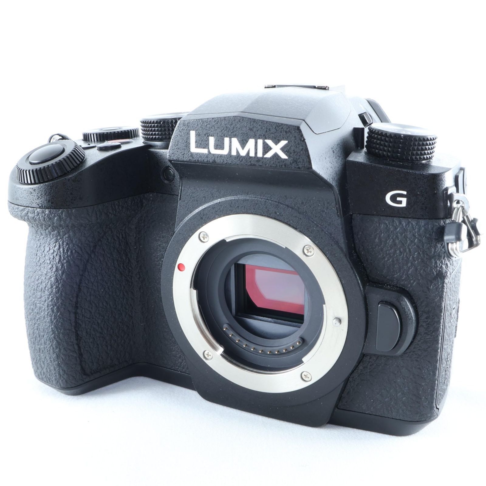 極美品】《 ショット数 622回》パナソニック (Panasonic) ミラーレス