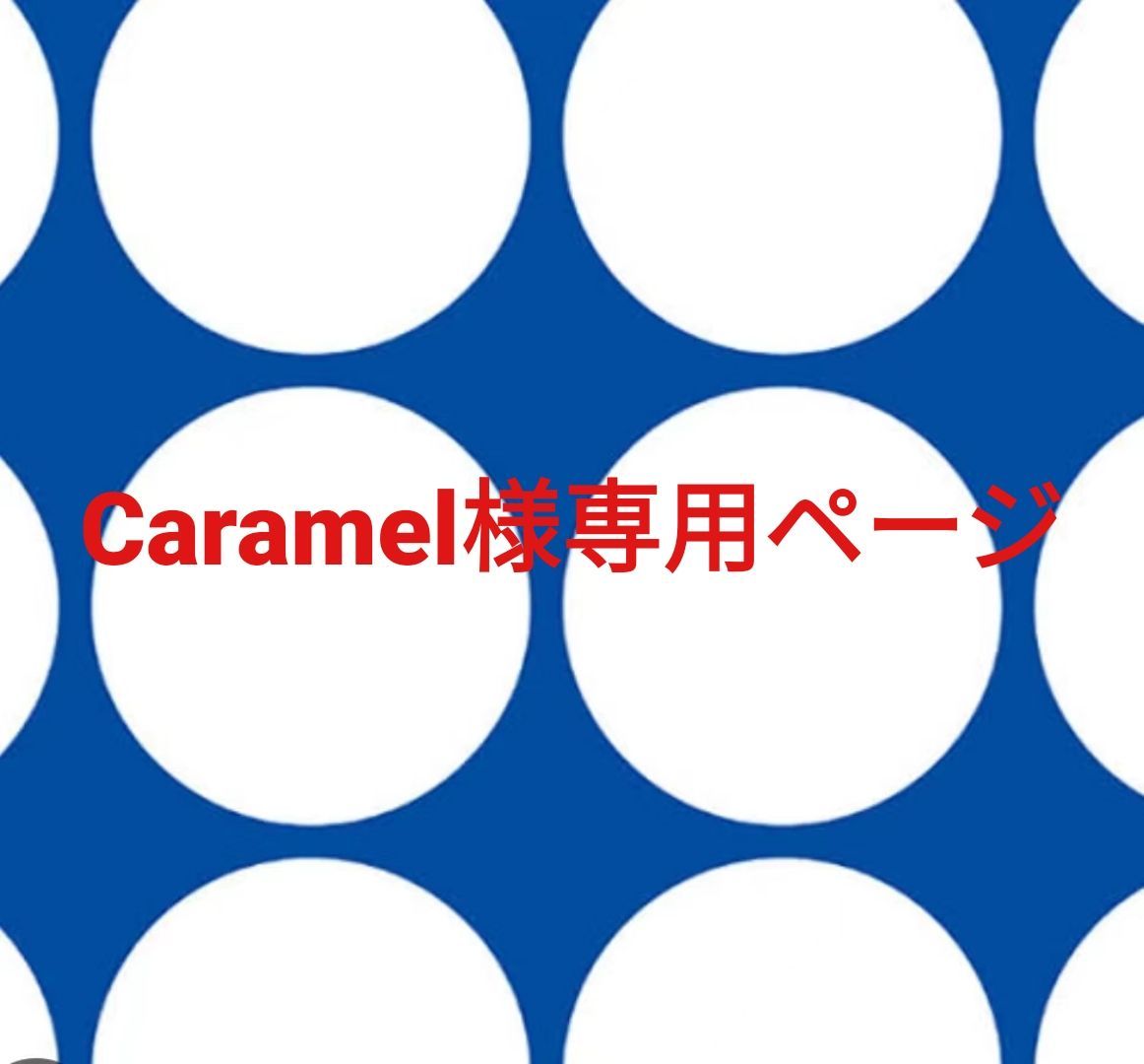 S.様ご確認用ページ caramel様 専用ページ 商品の状態