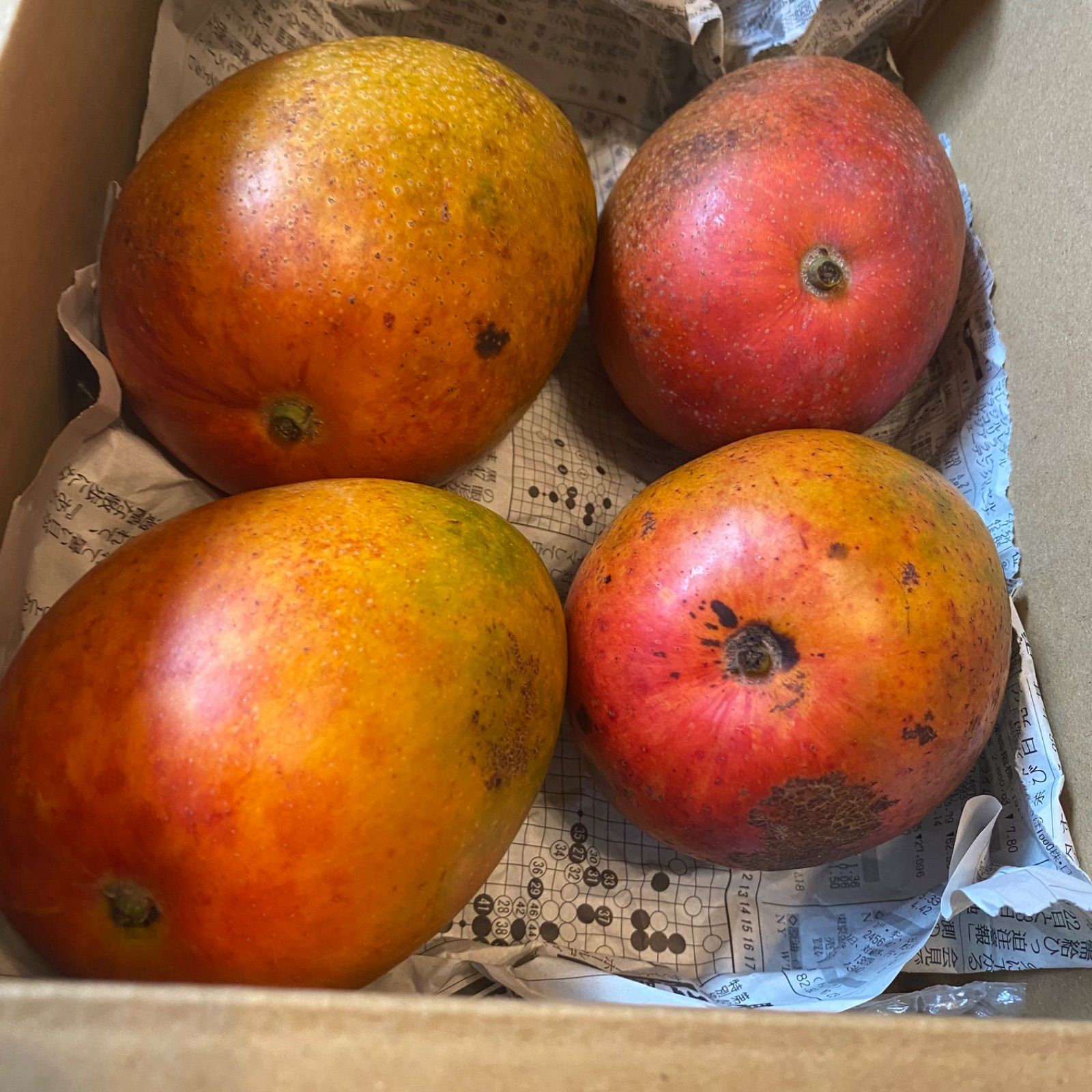 訳あり宮崎完熟マンゴー 4玉約1.7kg - メルカリ