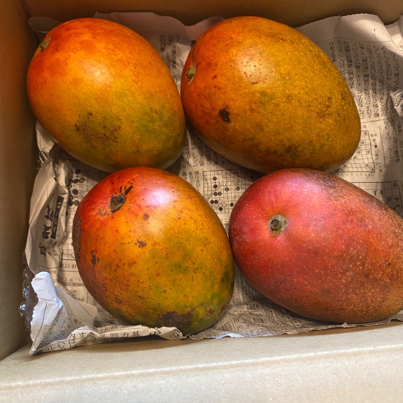 訳あり宮崎完熟マンゴー 4玉約1.7kg - メルカリ