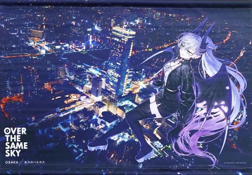 タペストリー バーサーカー/リリス “OVER THE SAME SKY” イラスト別 B2