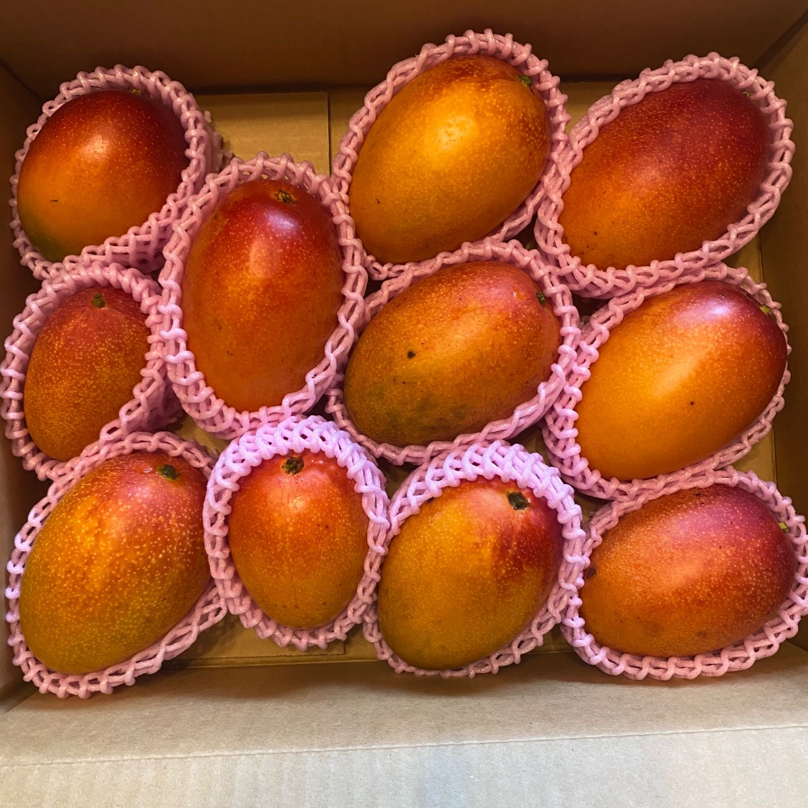 宮崎完熟マンゴー 訳あり 11玉 約4.1kg- メルカリ