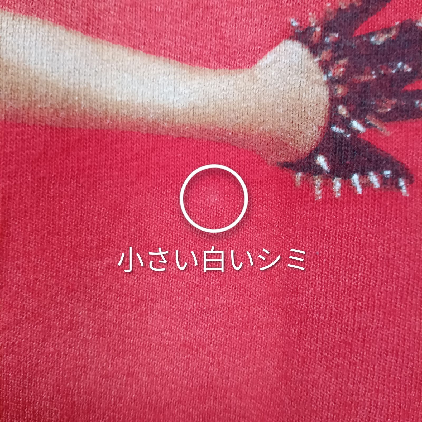 ＠美品シャナイアトゥエイン 2003-2004 ワールドツアーTシャツtt683 シャナイア・トゥエイン SHANIA TWAIN ROCK THIS COUNTRY TOUR ツアーT