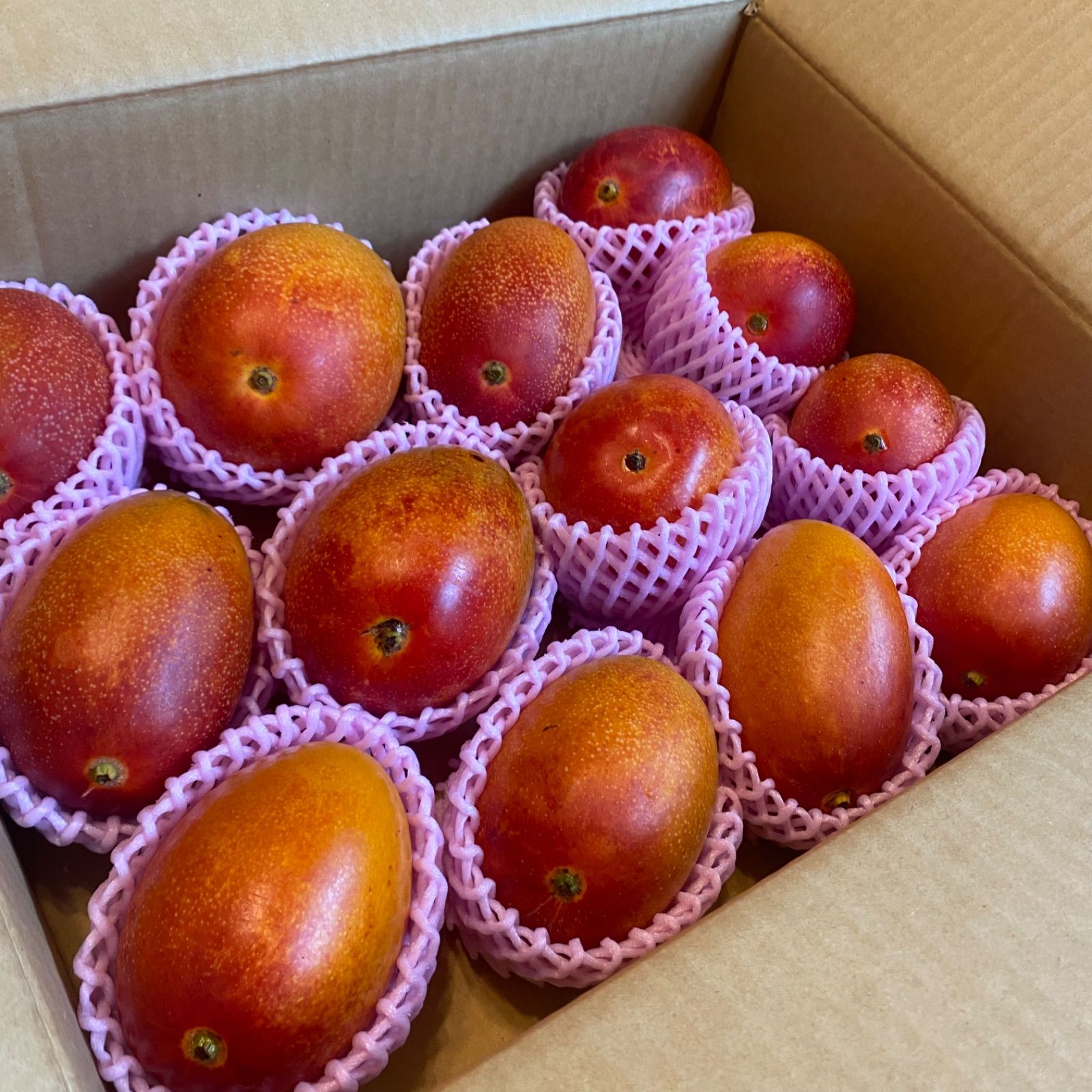 訳あり】宮崎完熟マンゴー 13玉 約4.1kg - メルカリ