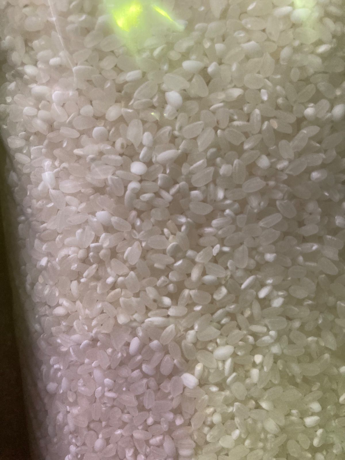 大粒米主体】コスパ米極み「穂宝」白米20kg - メルカリ
