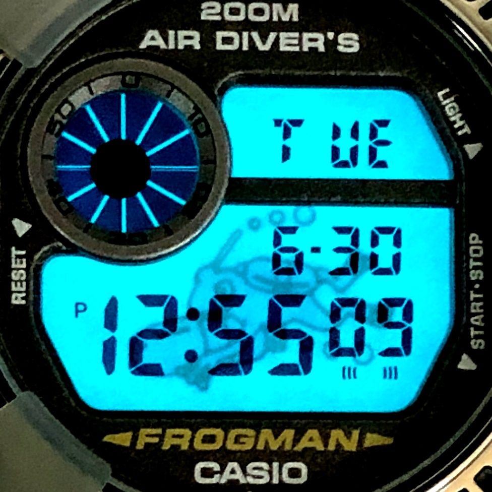 G-SHOCK ジーショック DW-8200MS-8T フロッグマン メンインスモーク
