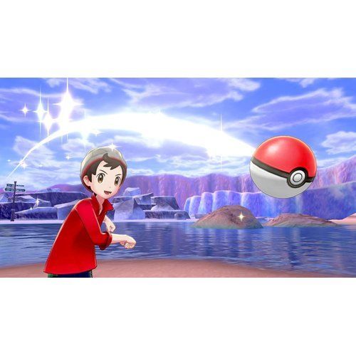 ポケットモンスター ソード -Switch - メルカリ