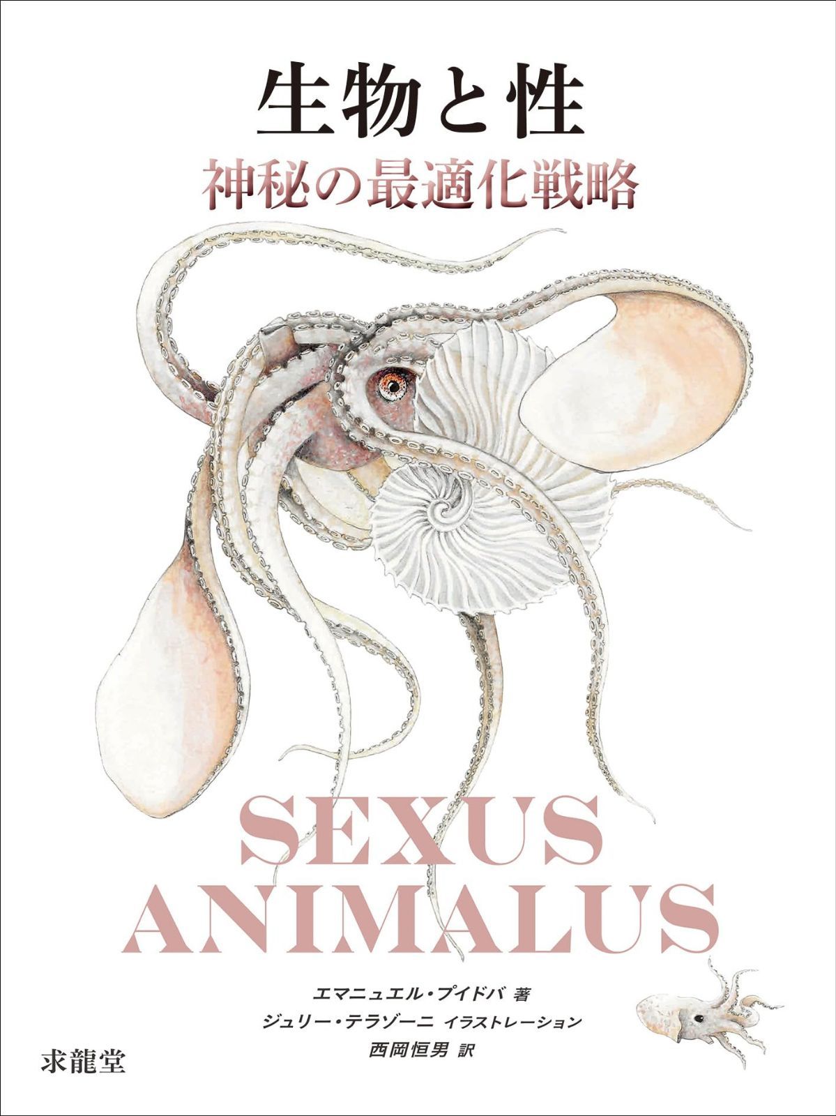 生物と性　神秘の最適化戦略
