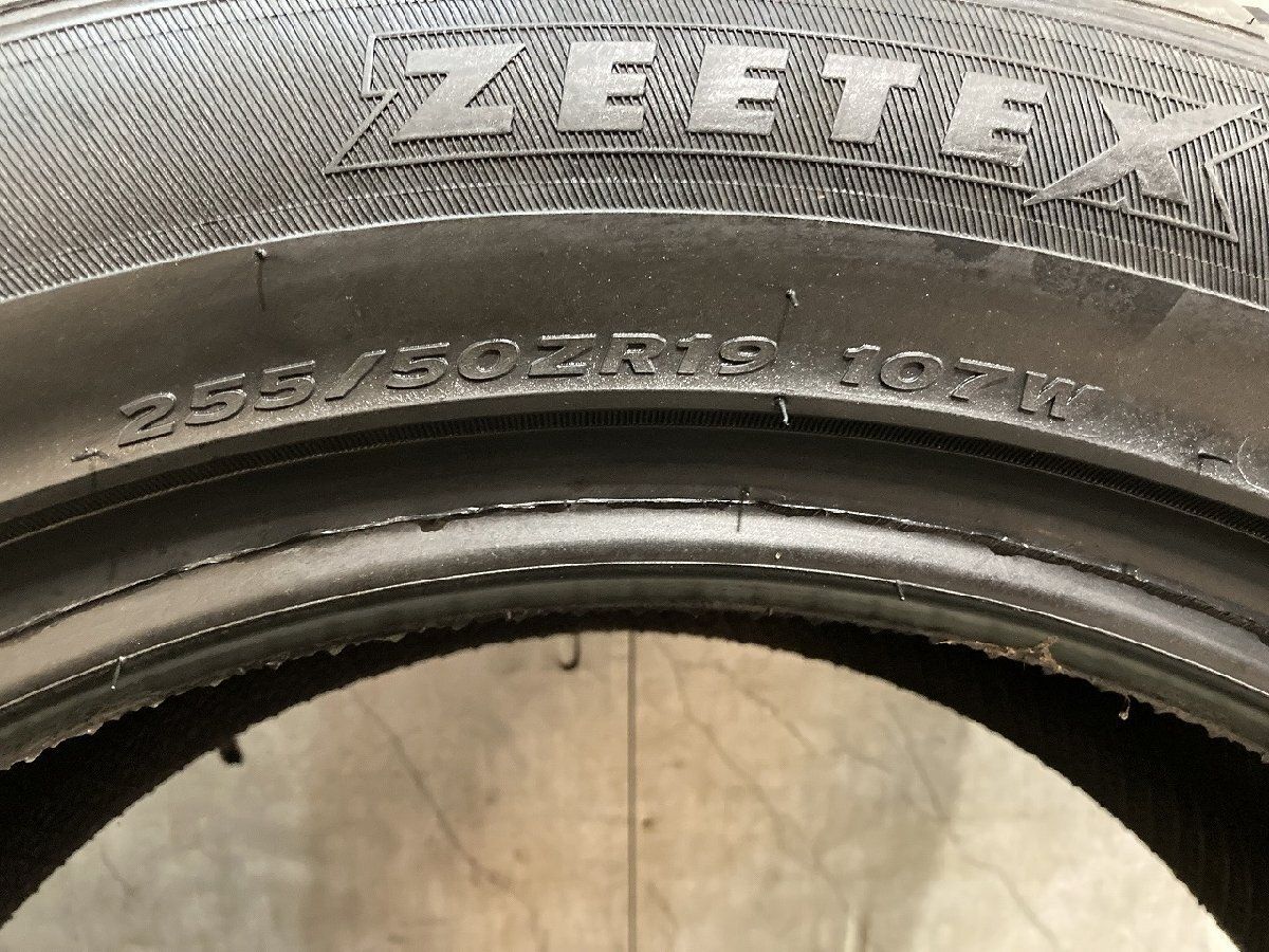 新品】ZEETEX HP6000 eco 255/50ZR19 107W XL 19インチ 夏タイヤ 2本 