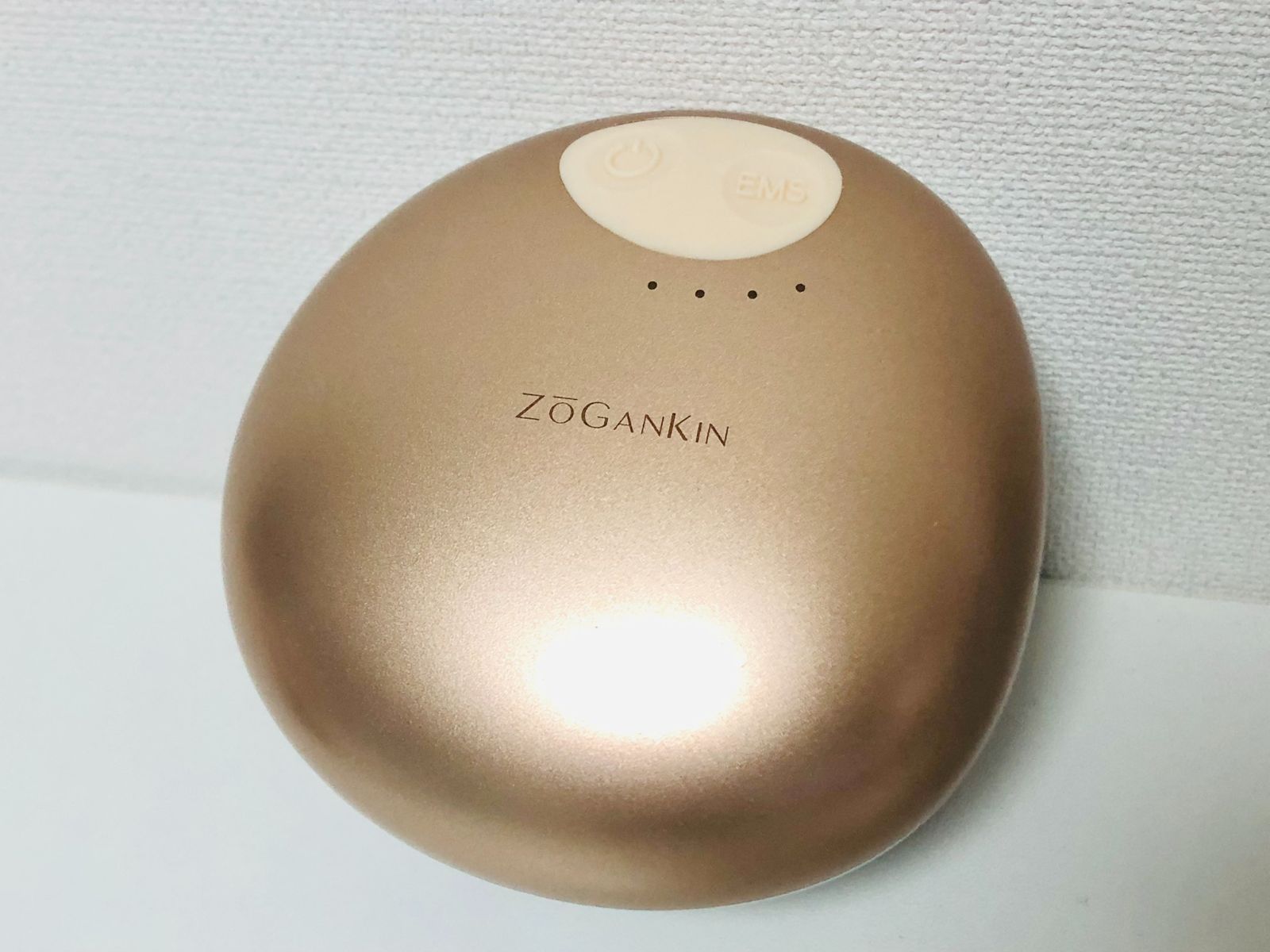 ZOGANKIN ゾーガンキン スカルプ CL-ZKS EMS 美顔器 - メルカリ
