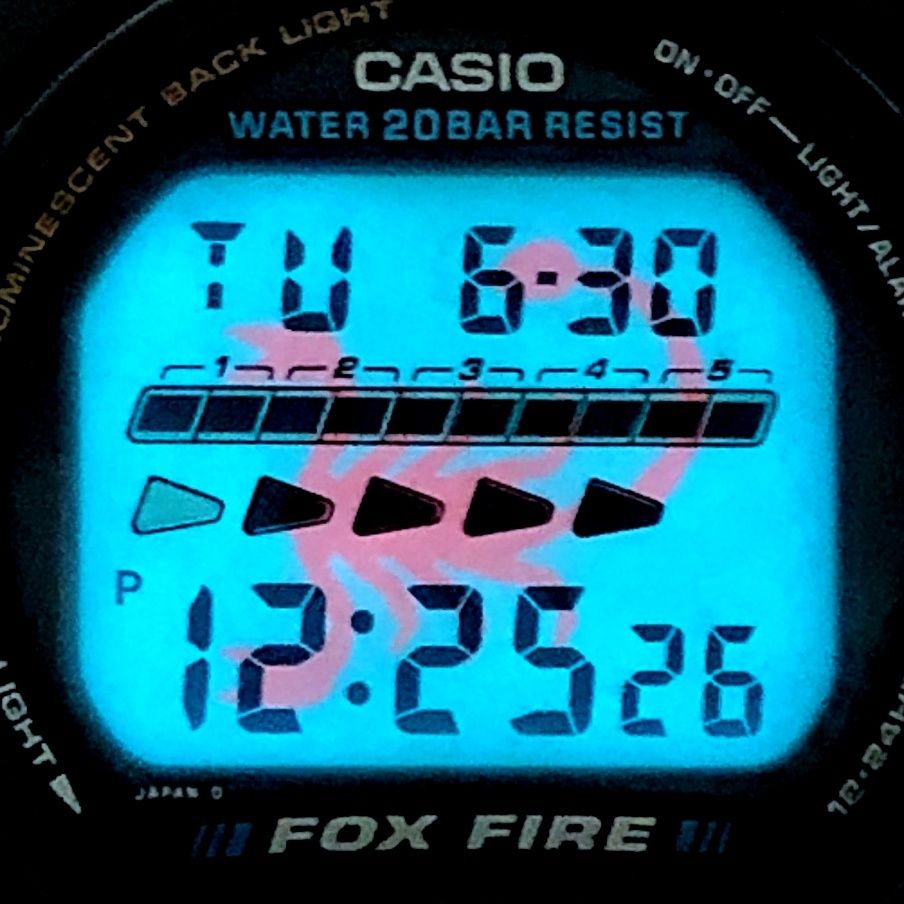 G-SHOCK ジーショック DW-6620-2 FOXFIRE SCORPION フォックスファイア