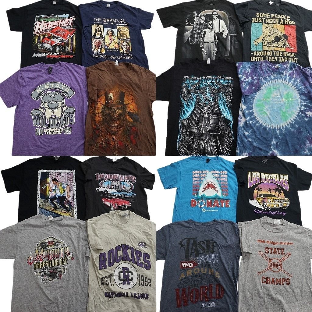 古着卸 まとめ売り プリント Tシャツ 16枚セット ( メンズ M ) 大判プリント スカル タイダイ柄 中古 古着 NF5349