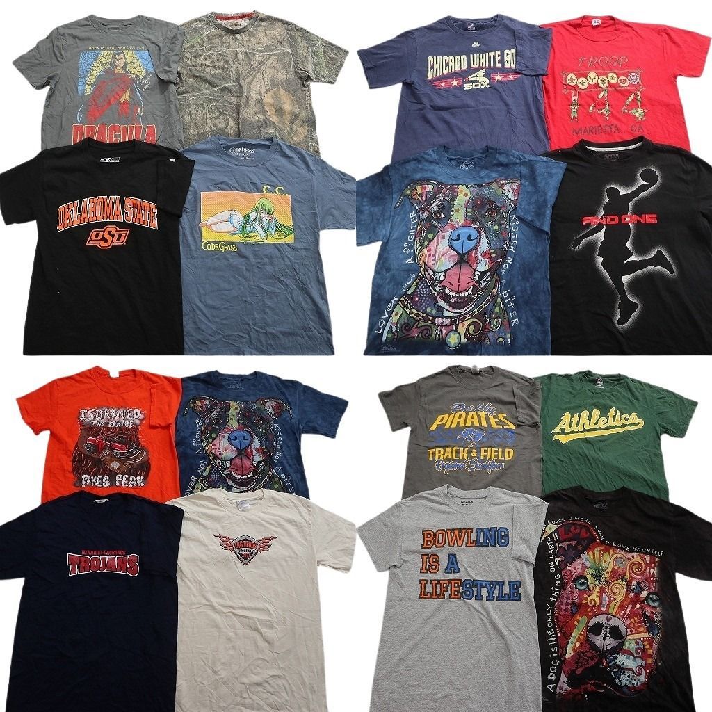 古着卸 まとめ売り プリント Tシャツ 16枚セット ( メンズ S ) アニマル　英文字プリント　プロチーム 中古 古着 NF5417