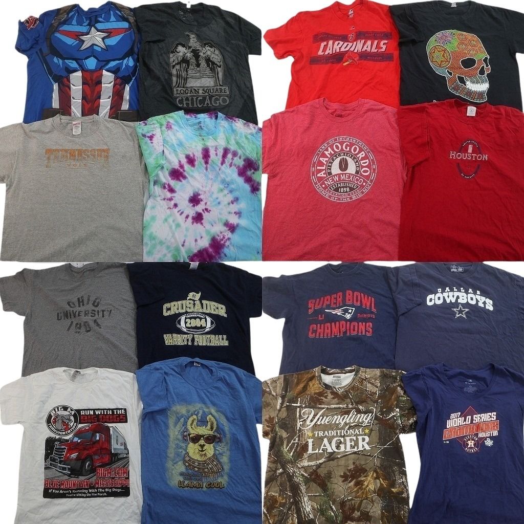 古着卸 まとめ売り プリント Tシャツ 16枚セット ( メンズ L ) キャラクター タイダイ柄 プロチーム NFL MLB 中古 古着 NF5455