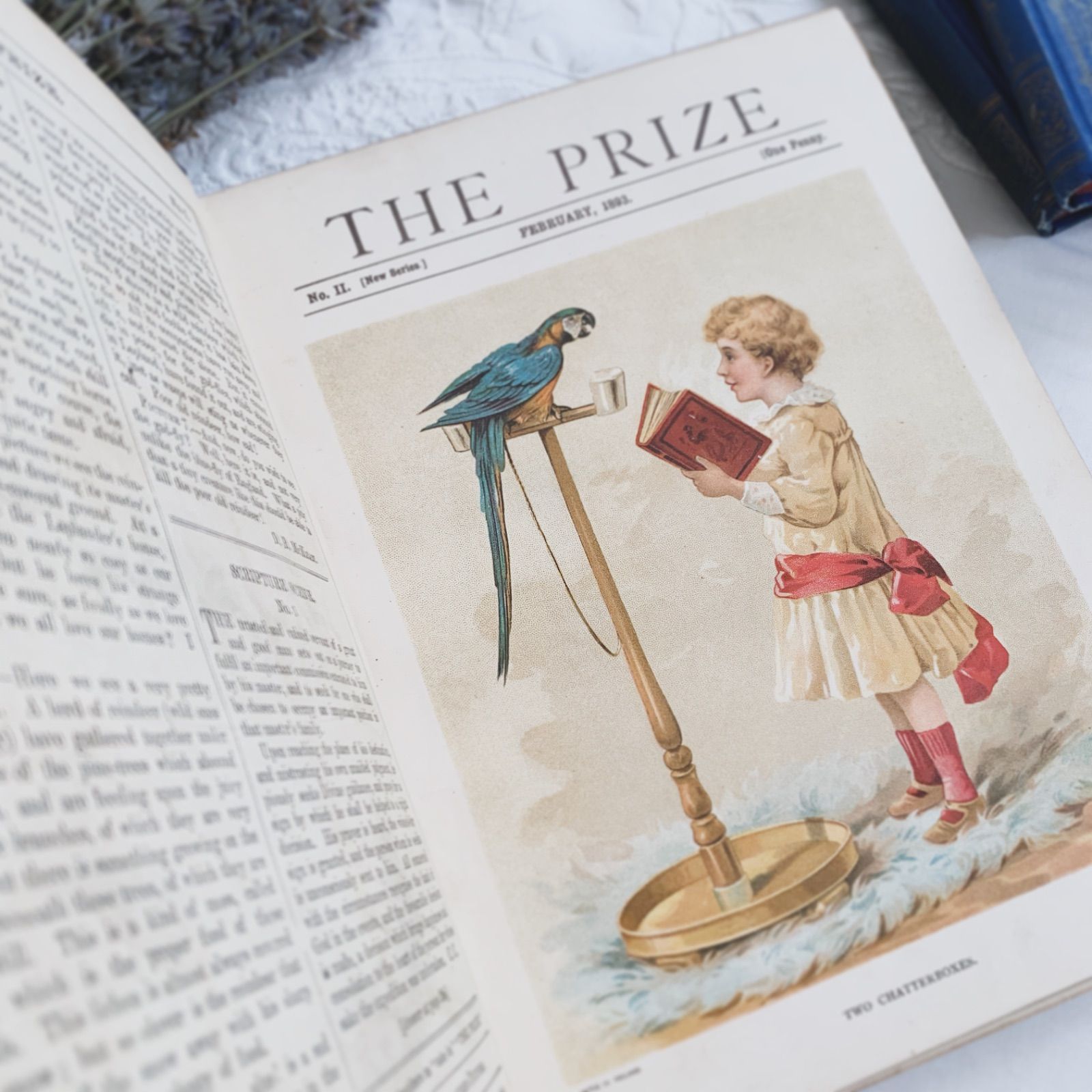 N o.356レア 超希少 アンティーク 洋書 絵本 ビクトリアン 児童書 1893年 英国アンティーク児童書-美しいカラー&モノクロ挿絵を眺める