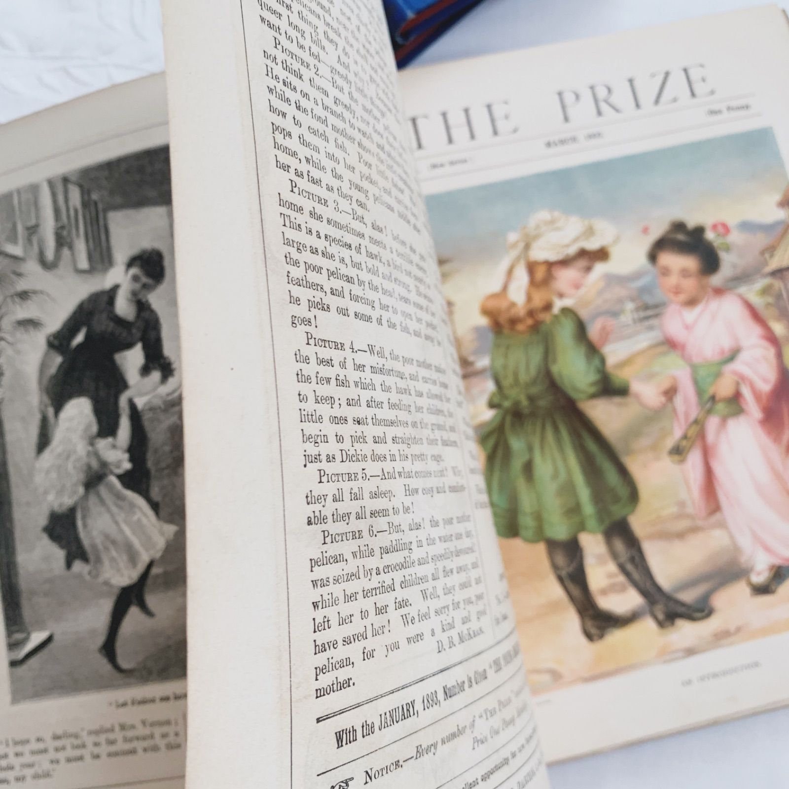 1893年 英国アンティーク児童書-美しいカラー&モノクロ挿絵を眺める