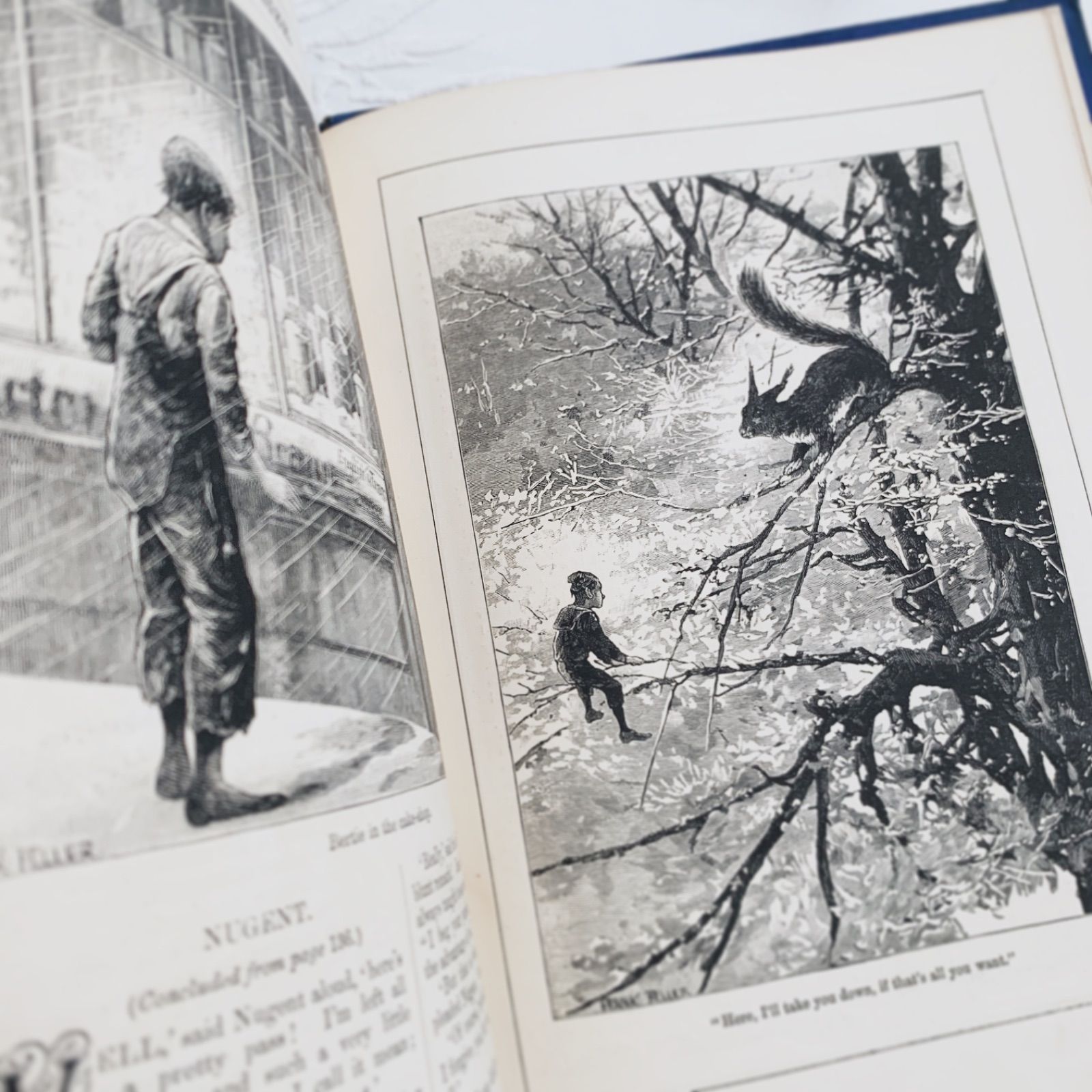 1893年 英国アンティーク児童書-美しいカラー&モノクロ挿絵を眺める