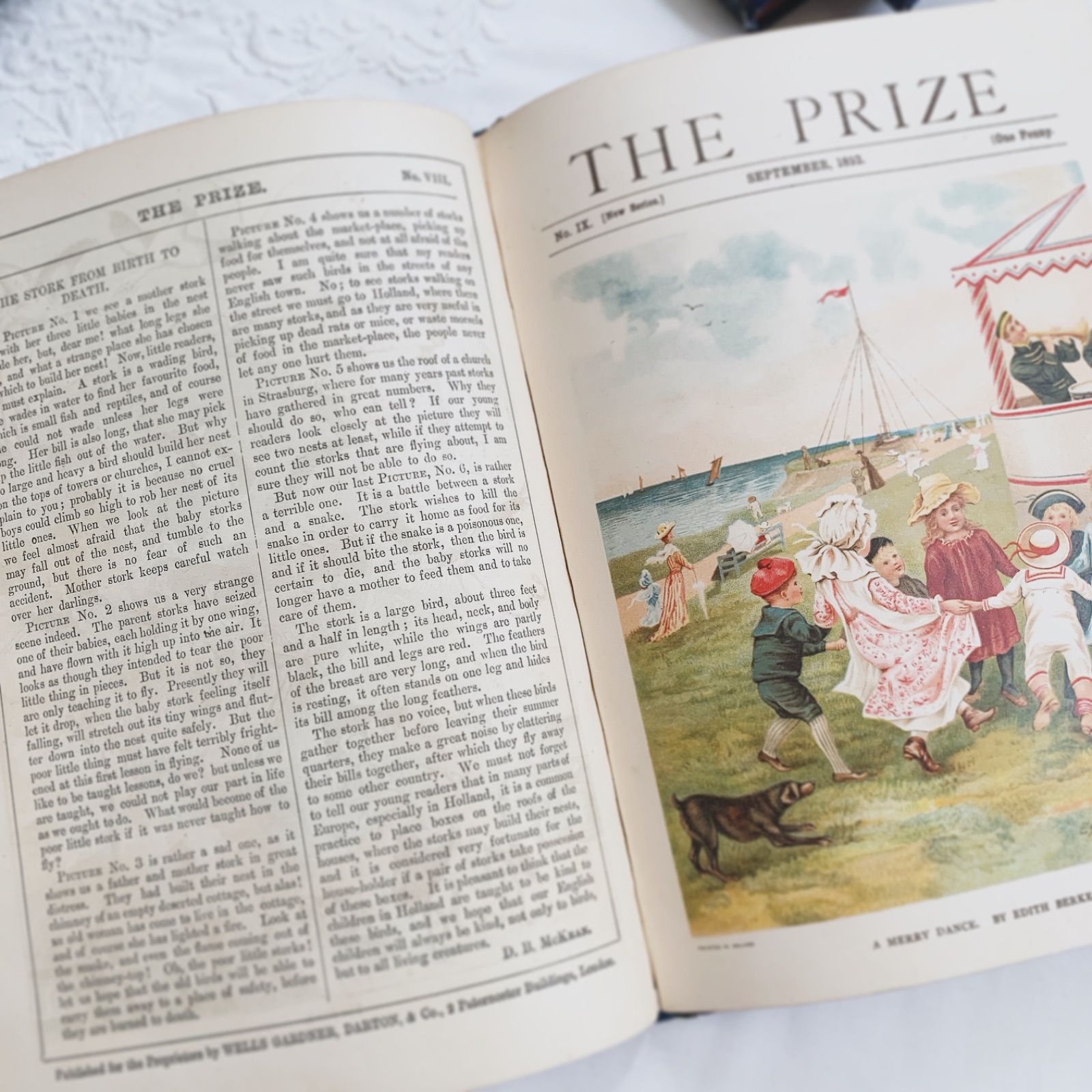 1893年 英国アンティーク児童書-美しいカラー&モノクロ挿絵を眺める