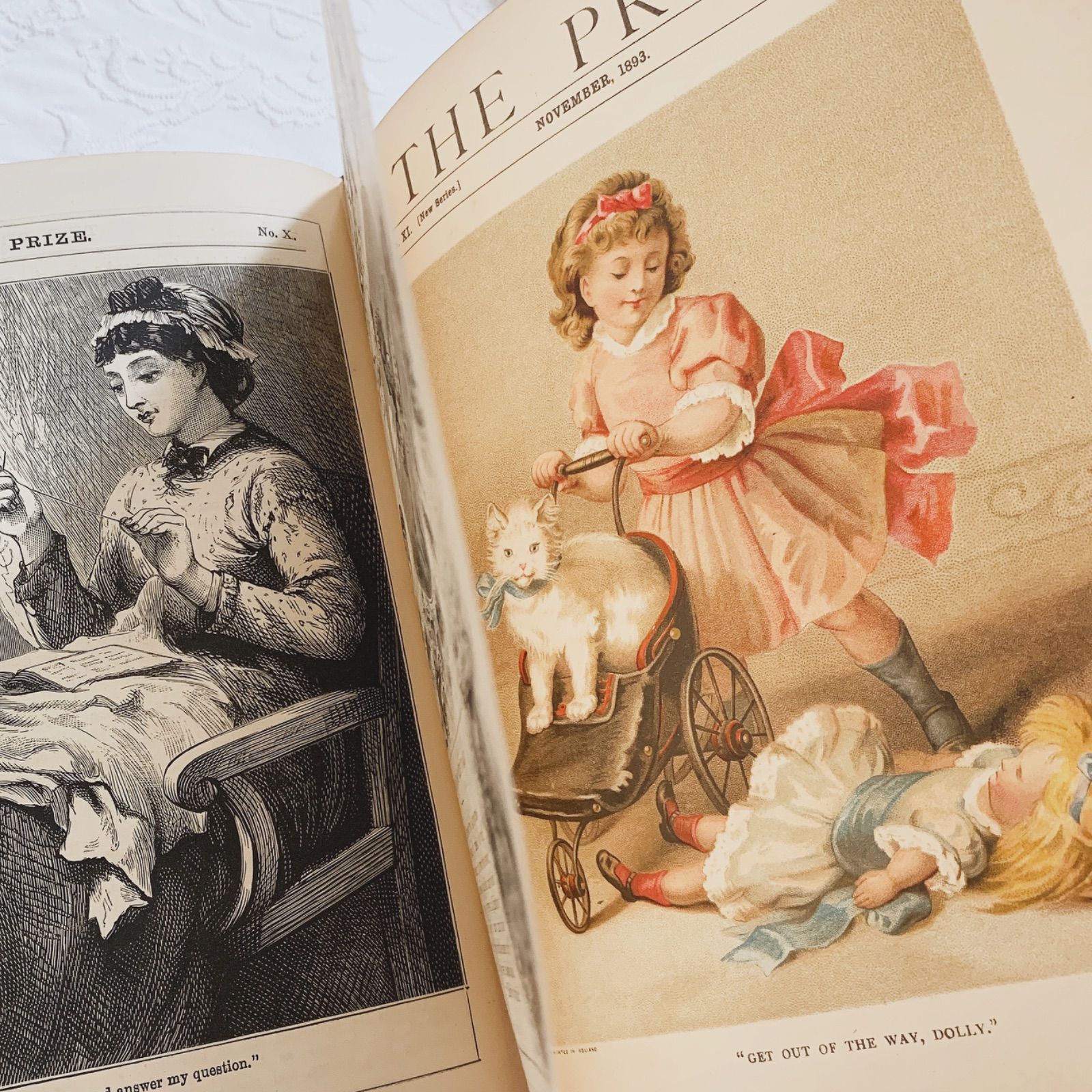 1893年 英国アンティーク児童書-美しいカラー&モノクロ挿絵を眺める