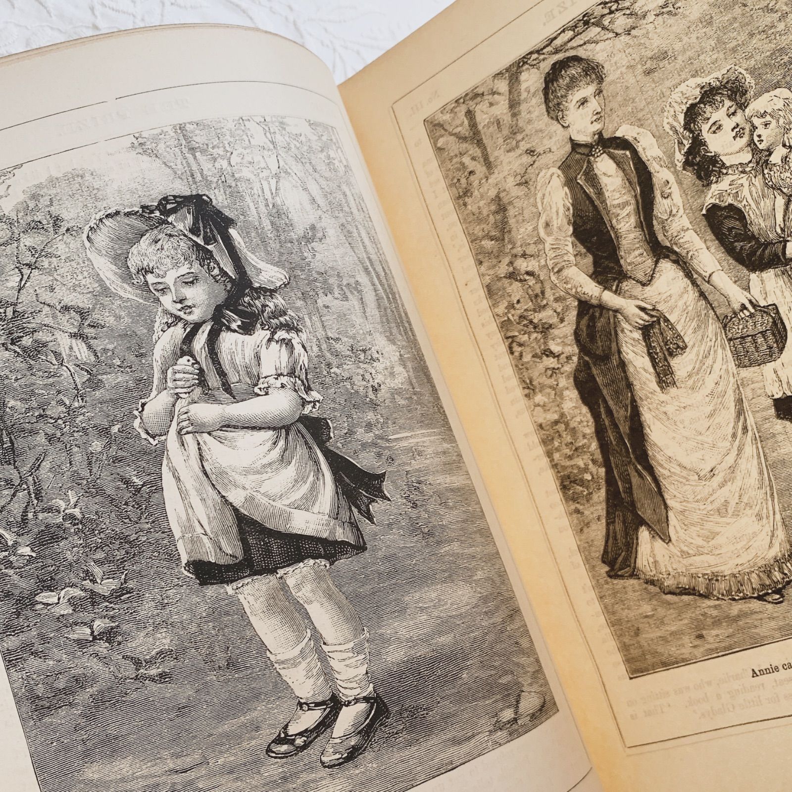 1893年 英国アンティーク児童書-美しいカラー&モノクロ挿絵を眺める